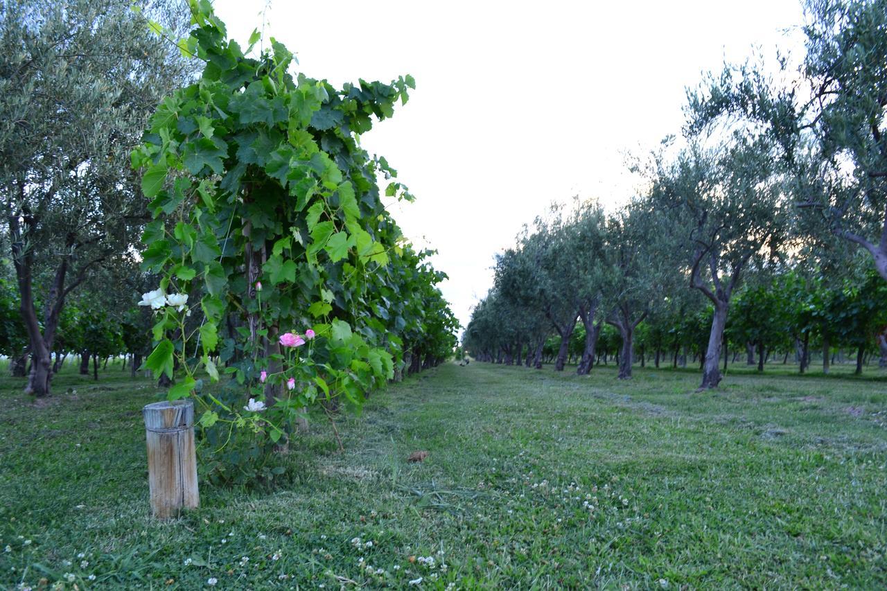 Finca Fisterra Maipu  Luaran gambar