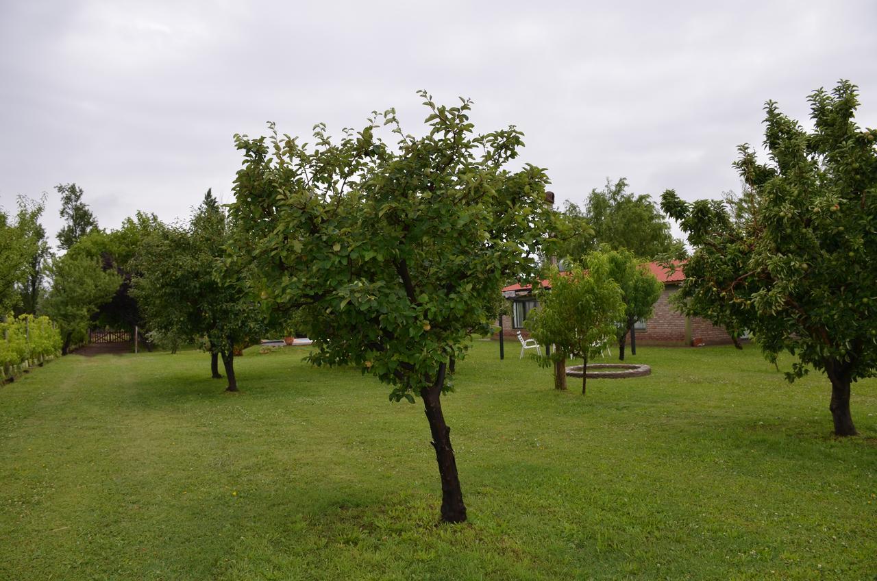 Finca Fisterra Maipu  Luaran gambar
