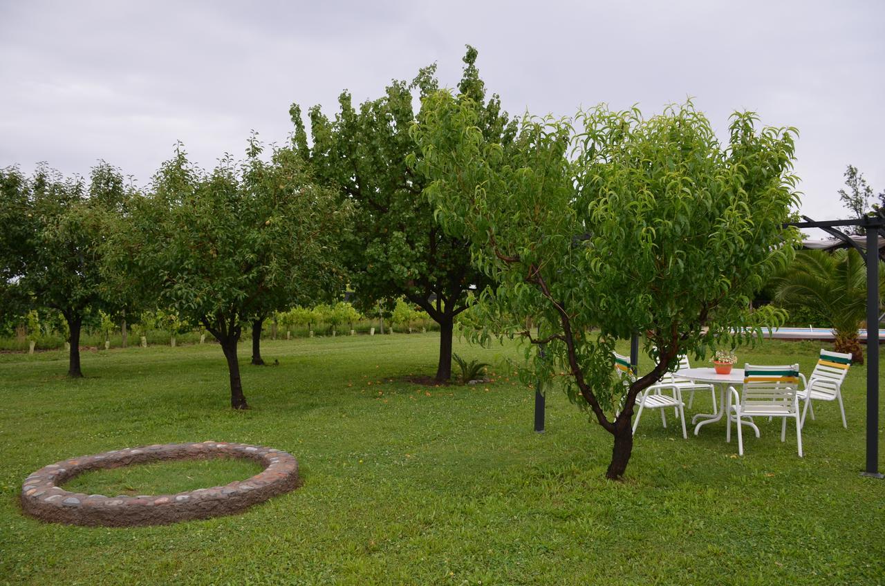 Finca Fisterra Maipu  Luaran gambar
