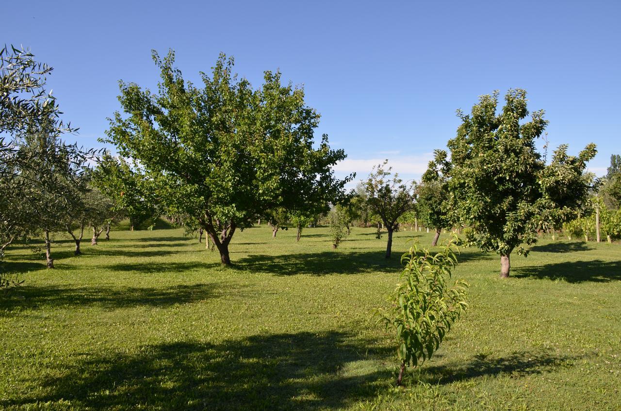 Finca Fisterra Maipu  Luaran gambar