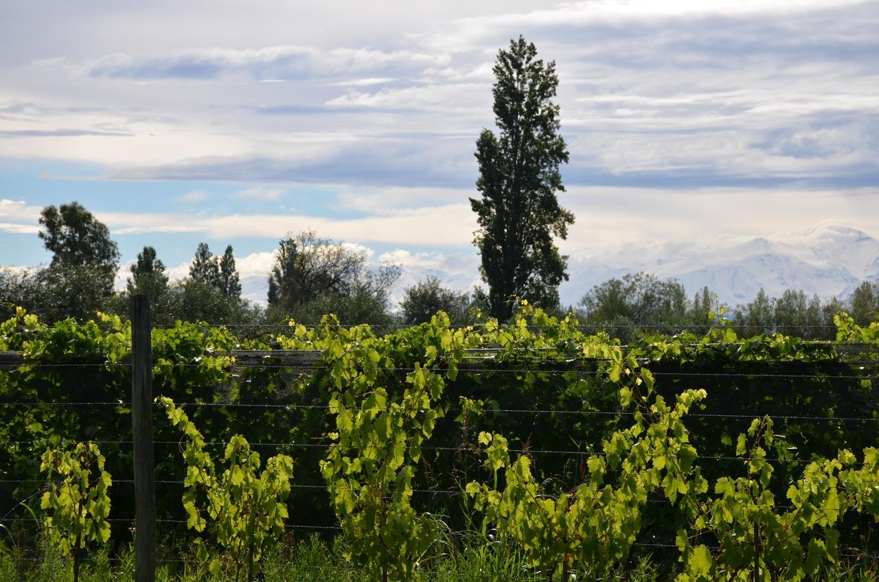 Finca Fisterra Maipu  Luaran gambar