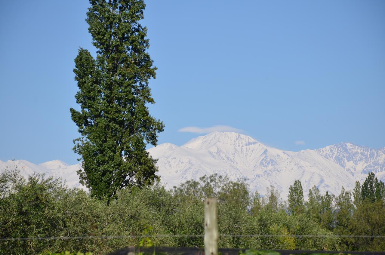 Finca Fisterra Maipu  Luaran gambar