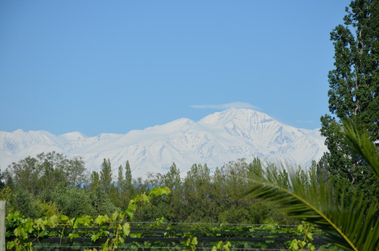 Finca Fisterra Maipu  Luaran gambar
