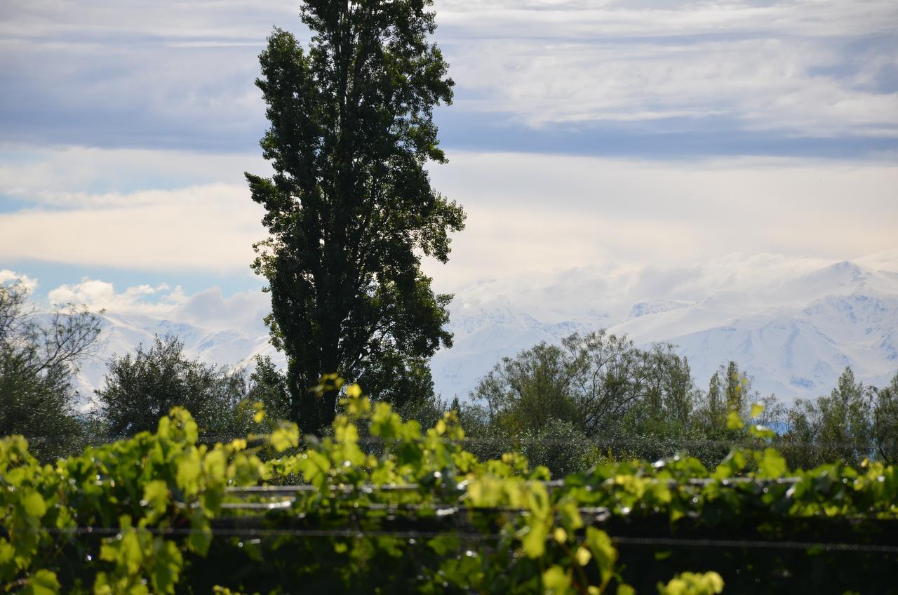 Finca Fisterra Maipu  Luaran gambar
