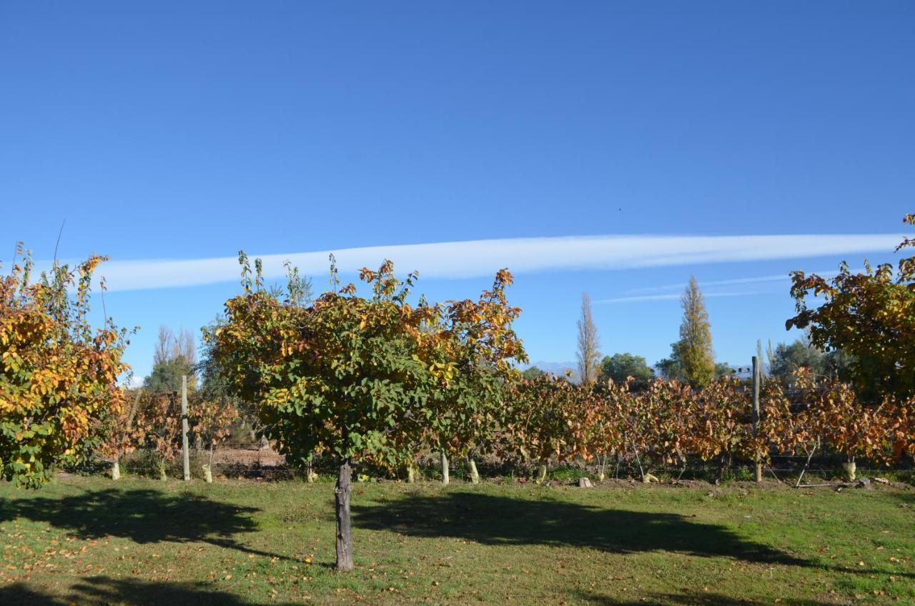 Finca Fisterra Maipu  Luaran gambar
