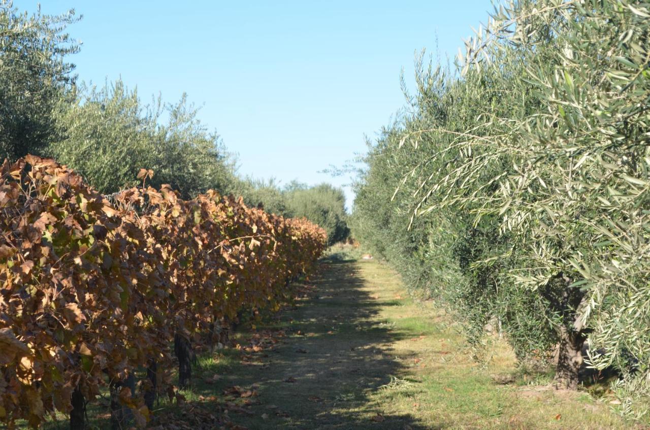 Finca Fisterra Maipu  Luaran gambar