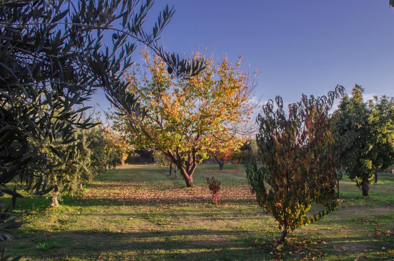 Finca Fisterra Maipu  Luaran gambar