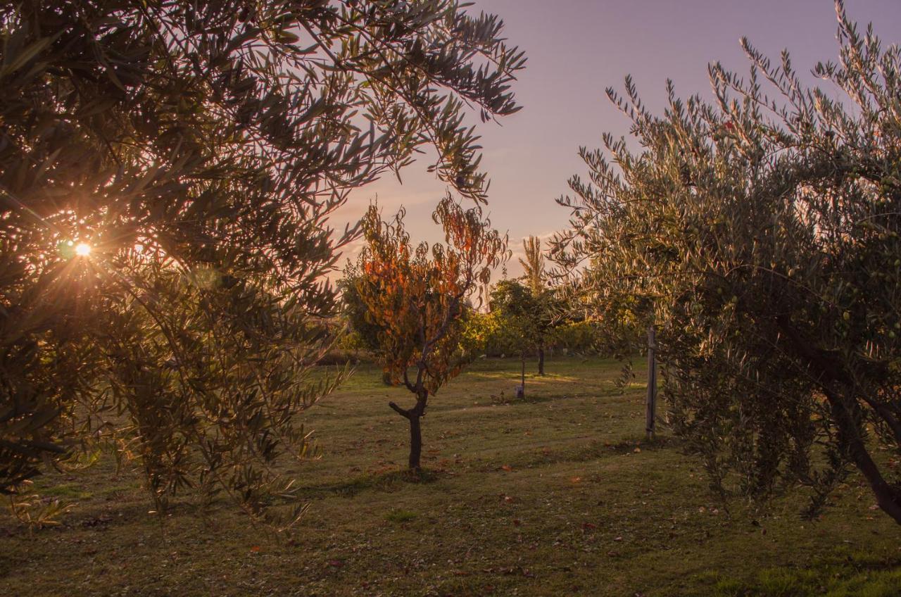 Finca Fisterra Maipu  Luaran gambar