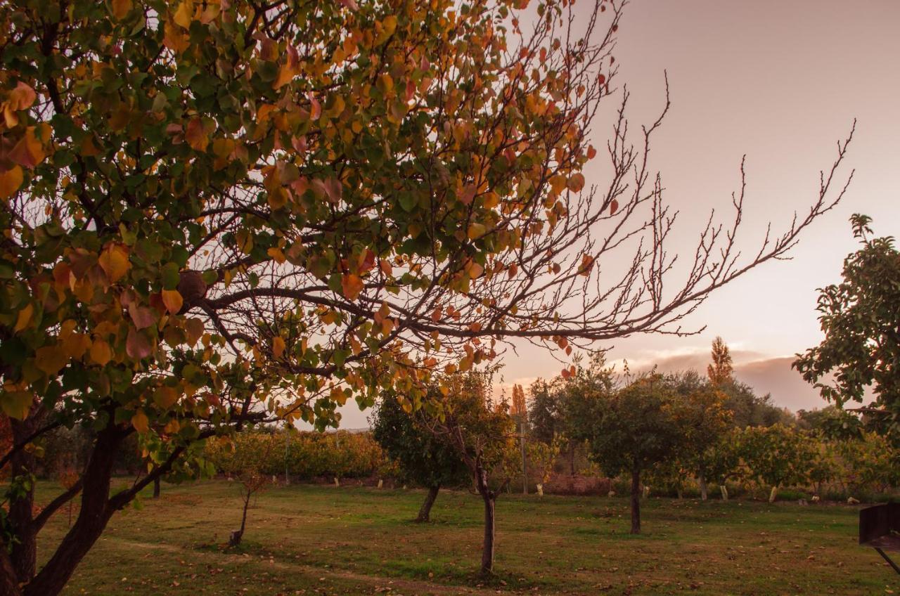 Finca Fisterra Maipu  Luaran gambar